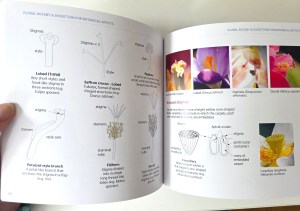 Part of floral botany reference section, Floral Botany and Dissection for Botanical Artists by Jackie Isard