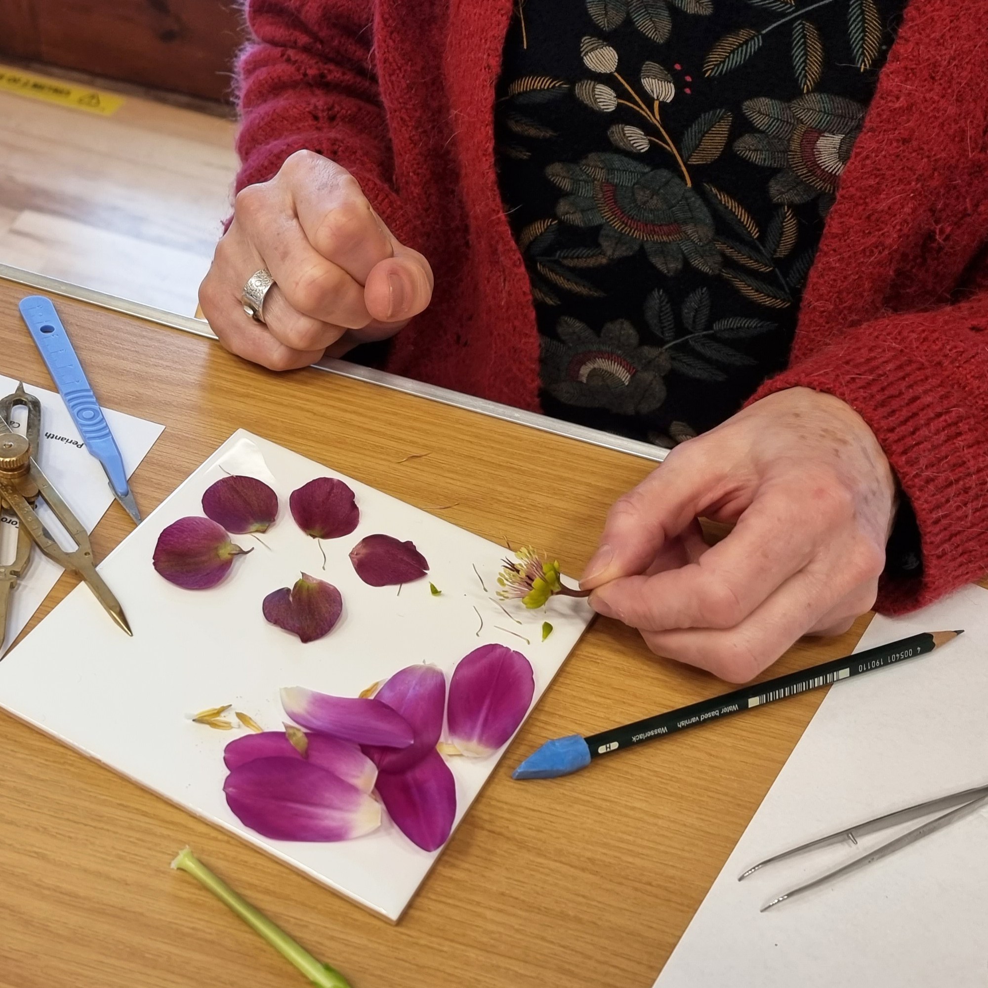 Student exploring the parts of a flower